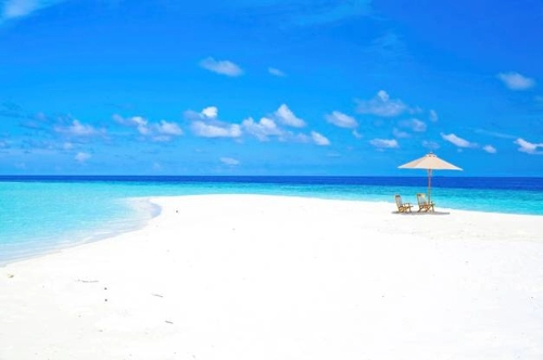 Cơ hội du lịch maldives miễn phí