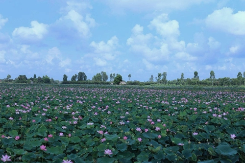 Fiditour ưu đãi nhiều tour thu đông