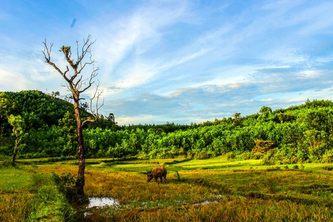 Hang dơi tiên an - công viên kỷ jura bị lãng quên