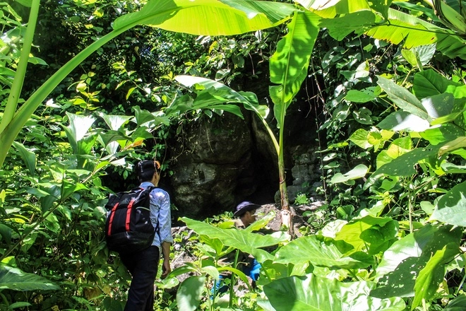 Hang dơi tiên an - công viên kỷ jura bị lãng quên