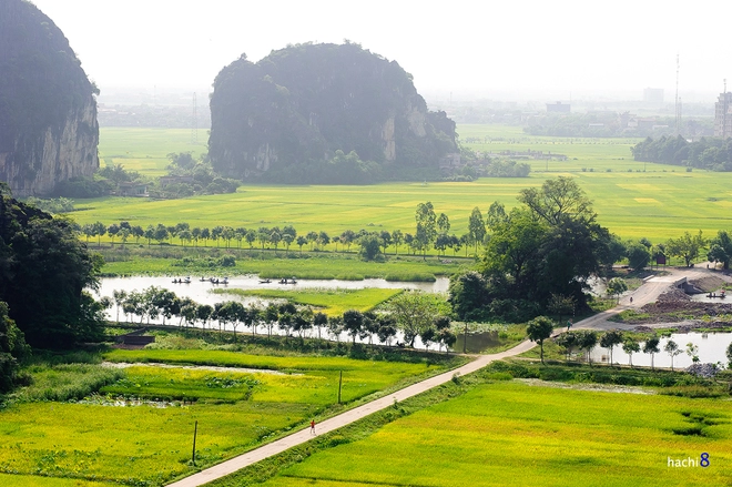 Hang múa - nơi ngắm mùa lúa chín ở tam cốc