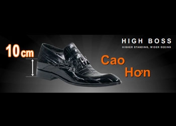 High boss khai trương showroom tại hải phòng