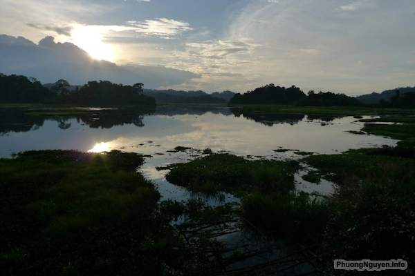 Khám phá bàu sấu - rừng nam cát tiên