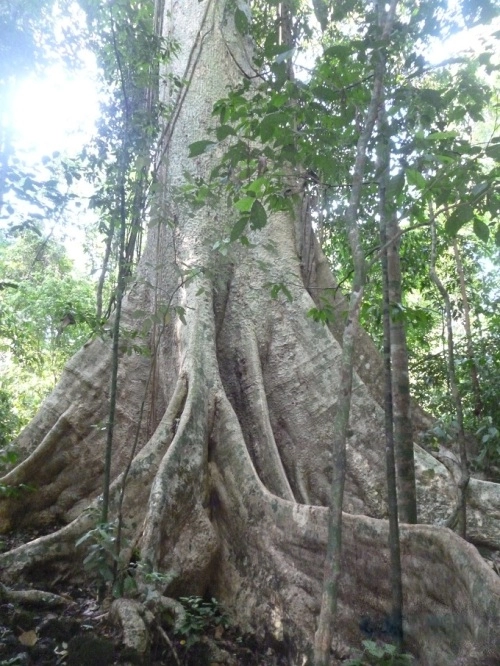 Kham pha thiên nhiên ơ khu ramsar thứ hai của việt nam