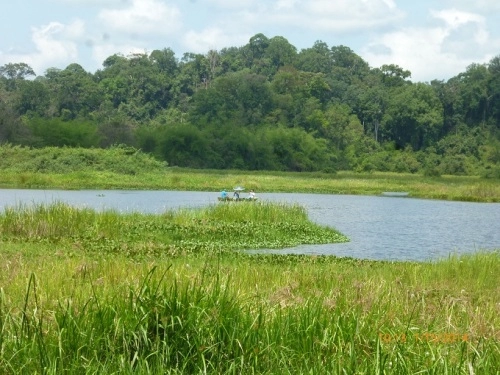 Kham pha thiên nhiên ơ khu ramsar thứ hai của việt nam