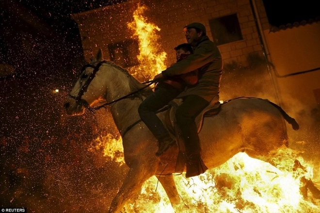 Lễ hội phi ngựa qua lửa độc đáo ở tây ban nha