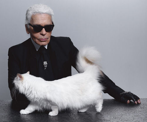 Một ngày lãng mạn trong cô độc của karl lagerfeld