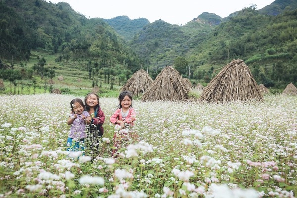 Năm 2016 hãy thực hiện ngay những chuyến đi này để thấy việt nam mình đẹp thế nào