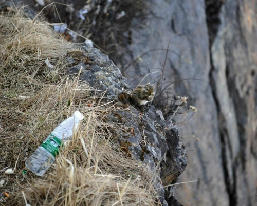 người nhện nhặt rác trên vách núi cao