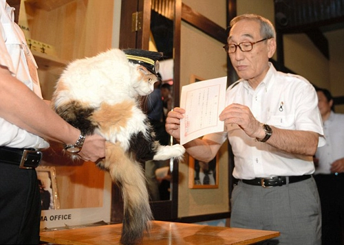 Nhật bản bổ nhiệm mèo làm trưởng ga tàu