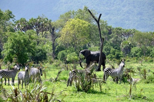 Những điểm đến không thể bỏ qua khi đến tanzania