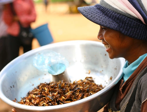 Những món ăn kinh dị trên thế giới