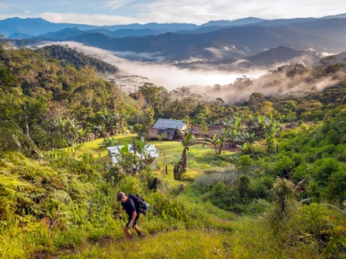 Nư du khach bi xâm hại trong rưng ở papua new guinea