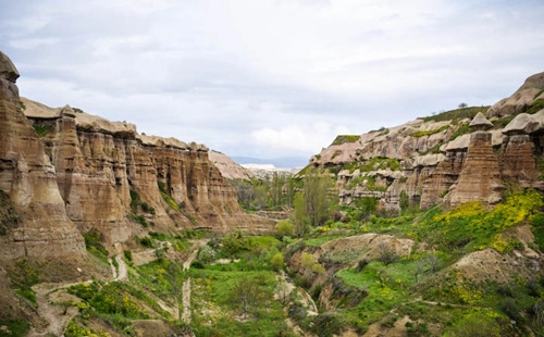 rừng dương vật ở cappadocia