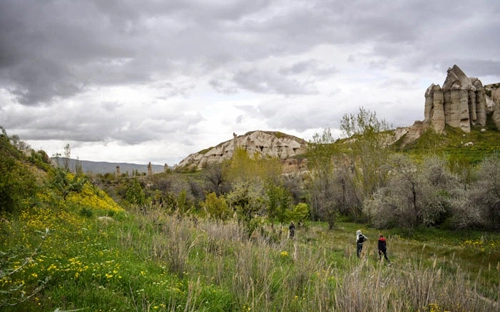 rừng dương vật ở cappadocia