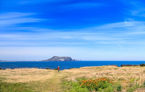 Sắc xuân trên hòn đảo lãng mạn jeju