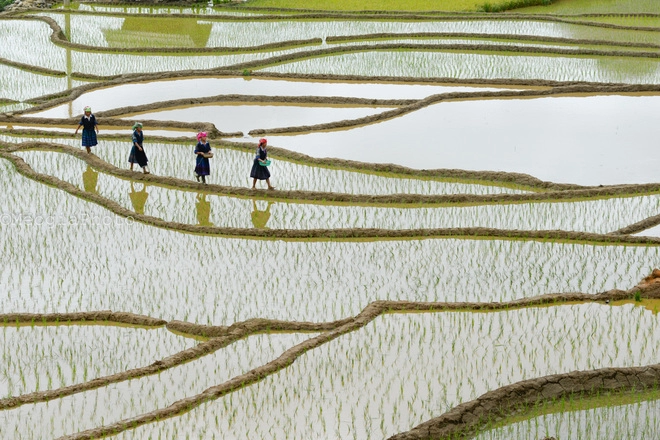 Tây bắc đẹp mê hoặc mùa nước đổ