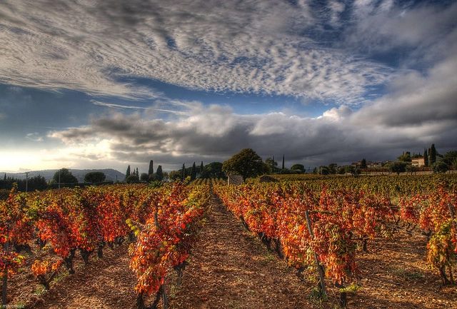 Theo chân phượt thủ đến 10 vùng rượu vang nổi tiếng nhất thế giới