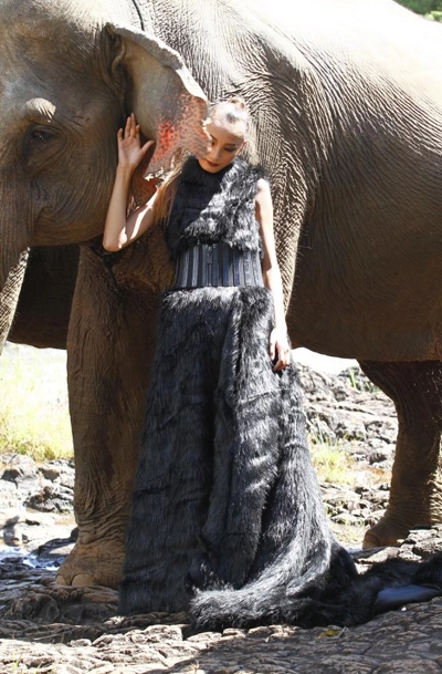 Thí sinh top model gồng mình với voi