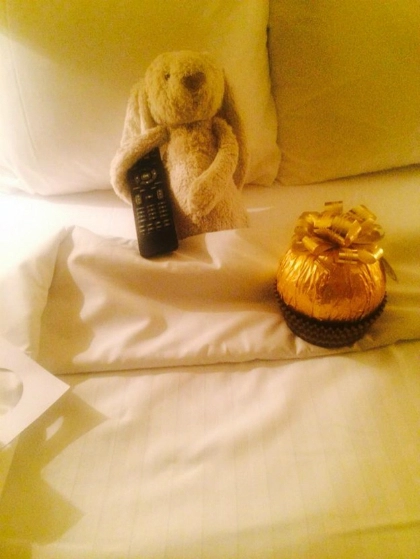 Thỏ bông đi lạc được khách sạn đối đãi như khách vip