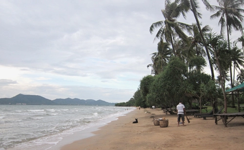 Trải nghiệm làm robinson trên đảo thỏ