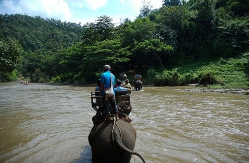 Vẻ đẹp thơ mộng của chiang mai