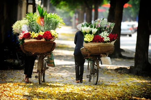 Việt nam vào top 25 điểm đến lý tưởng để nghỉ hưu