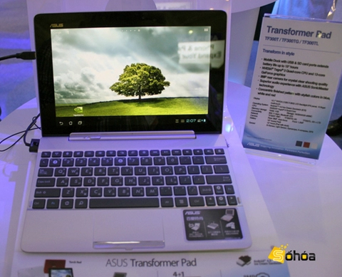 Asus transformer pad giá từ 106 triệu