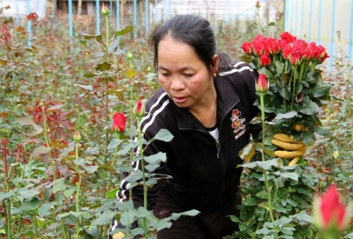 Ba làng hoa nổi tiếng đà lạt