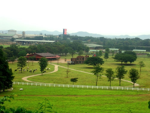 Bài 2 khao yai vừa du lịch vừa học làm giàu