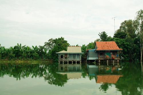 Búng bình thiên mùa nước nổi lại về