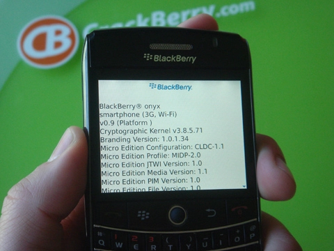 Cận cảnh blackberry onyx