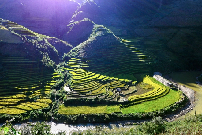 Có ai đến mù cang chải mùa này chưa 