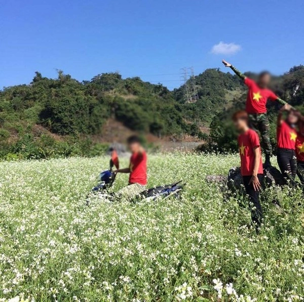 Dân mạng phẫn nộ vì phượt thủ chạy xe máy tàn phá cánh đồng hoa cải