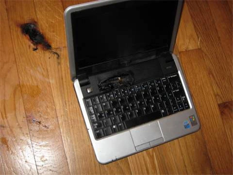 Dell mini 9 nổ làm cháy sàn nhà