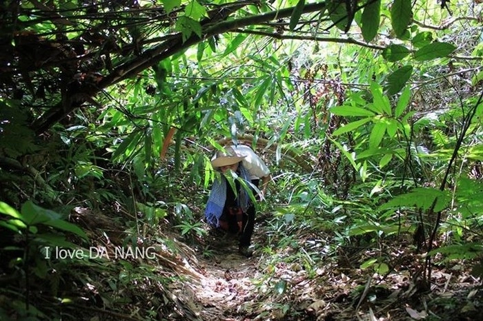 Giếng trời ở đà nẵng thích hợp với những bạn trẻ mê trekking