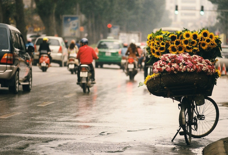 Hà nội mùa ta đã yêu