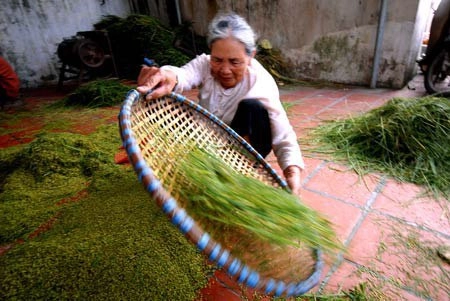 Hương cốm gọi thu sang