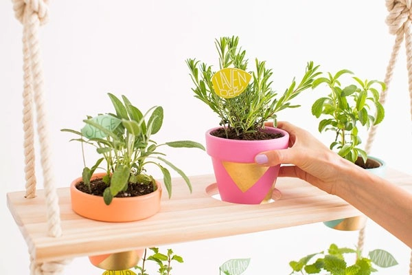Kệ treo chậu hoa giúp bạn trồng cây tiết kiệm không gian