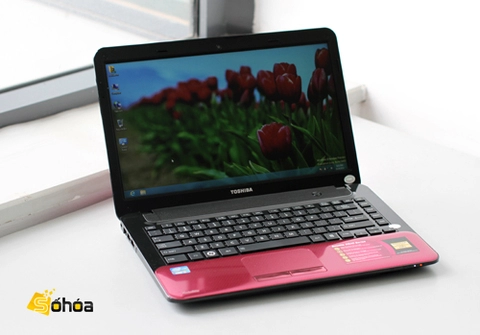 Laptop toshiba ivy bridge giá 133 triệu