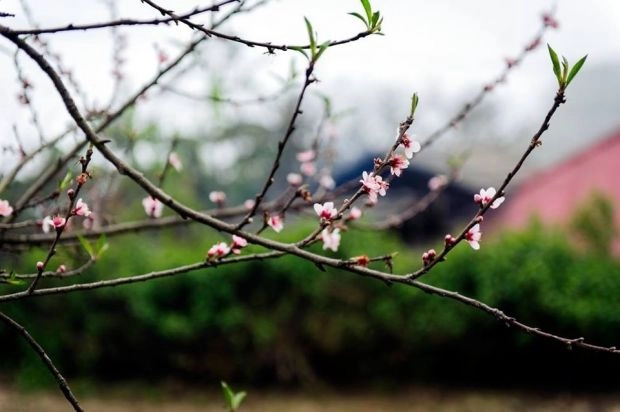 Những điểm đến lý tưởng cho dân phượt vào mùa tết dương lịch