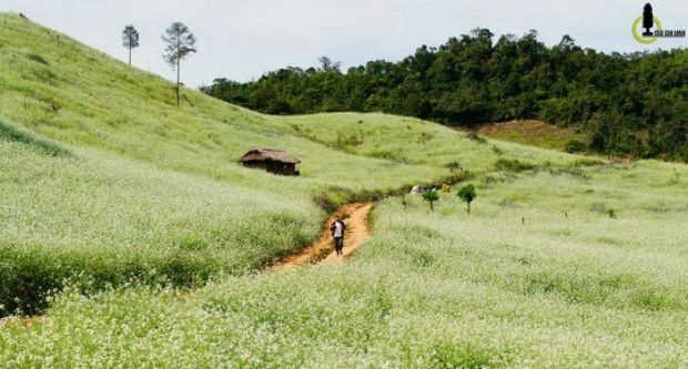 Những điểm đến lý tưởng cho dân phượt vào mùa tết dương lịch