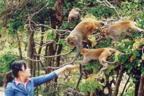 Những hòn đảo mang tên loài vật ở việt nam