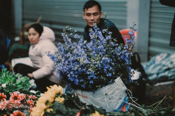 Những loài hoa cắm tết của một hà nội xưa cũ bạn có nhớ tên