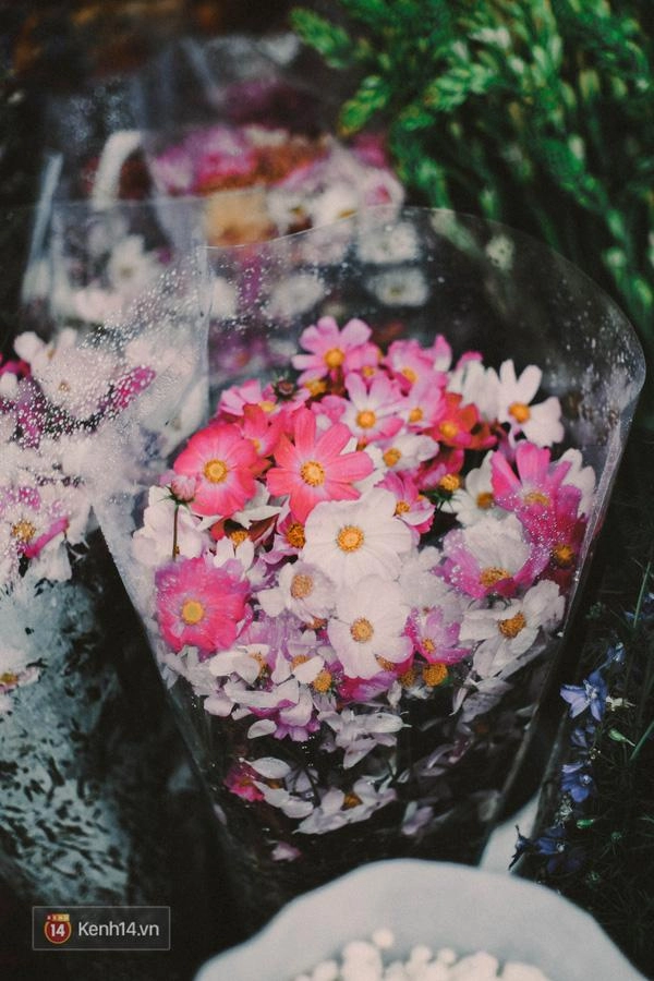 Những loài hoa cắm tết của một hà nội xưa cũ bạn có nhớ tên