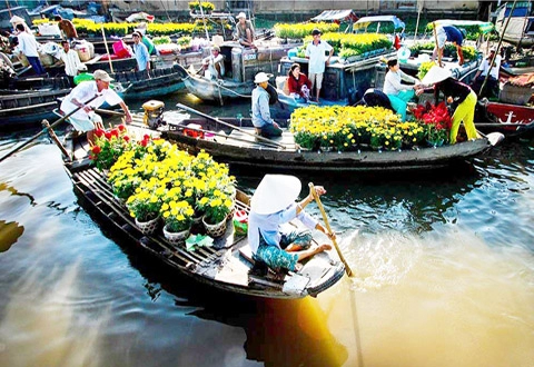 Những tour du xuân trong và ngoài nước