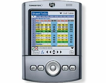 Palm tròn 10 tuổi