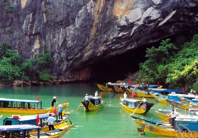 Phong nha - kẻ bàng bối cảnh phim bom tấn king kong