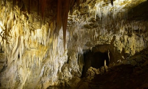 Phong nha vào top 5 hang động kỳ ảo nhất thế giới