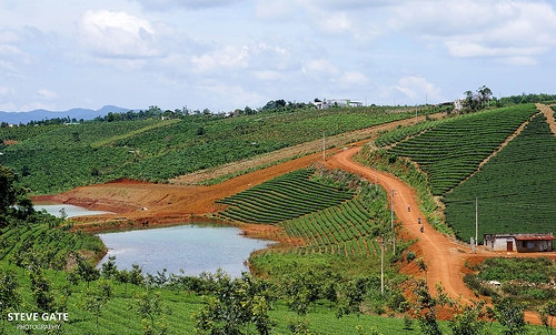 phototrip bảo lộc - một chuyến đi đáng nhớ